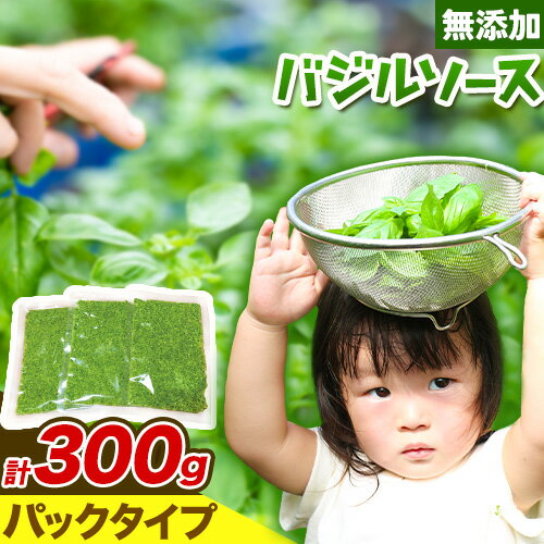 【ふるさと納税】《レビューキャンペーン》 バジルソース 無添加 バジル パック 計 300g 100g×3パック Farm＆lab 《30日以内に出荷予定(土日祝除く)》和歌山県 日高町 送料無料 朝摘み バジル ソース 新鮮 フレッシュ 調味料 小分け