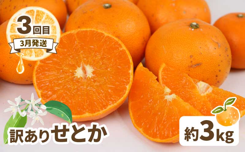 訳あり 人気柑橘 3回 定期便 マル南フルーツ 愛果28号 ( 紅まどんな と同品種) 宇和島みかん 蜜柑 mikan みかん あいか せとか 早生温州 定期便 果物 くだもの 愛媛県産 訳アリ 訳あり品 訳有り わけあり フルーツ 柑橘 産地直送 国産 愛媛 宇和島 B030-106045