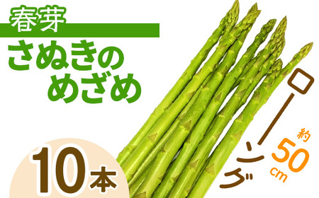 ＜期間限定！2025年2月下旬以降順次発送予定＞春芽！ロング！約50cm！ アスパラガス さぬきのめざめ (20本入)  まんのう町 特産品 香川県 生もの 国産 野菜 アスパラ 新鮮 冷蔵便  【man097・man098・man099】 【Aglio nero】