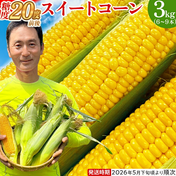 【ふるさと納税】とうもろこし スイートコーン 3kg（6~9本）野菜 コーン スーパースイートコーン 採れたて 糖度20度 【2026年5月下旬頃より順次発送予定】