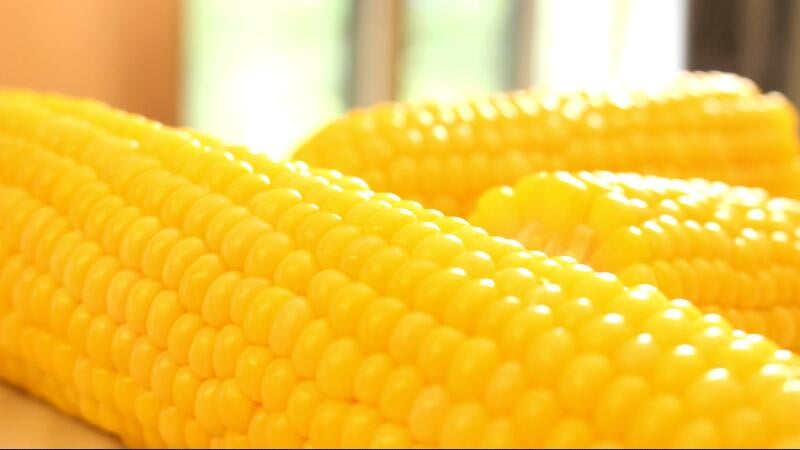 ぎっしりと甘みが詰まった人気の品種です。