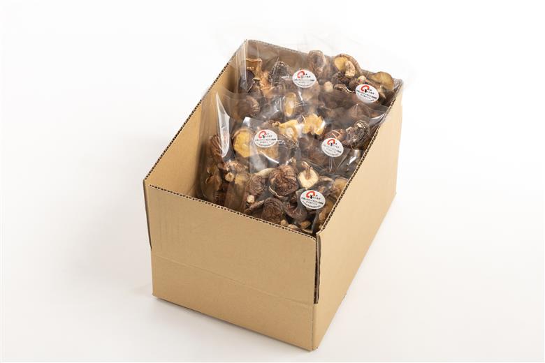 【訳あり】 津久見産不揃いしいたけ 100g×5袋 | 乾燥椎茸 きのこ 茸　家庭用 しいたけ 乾燥シイタケ 国産 九州 大分県 小分け 送料無料