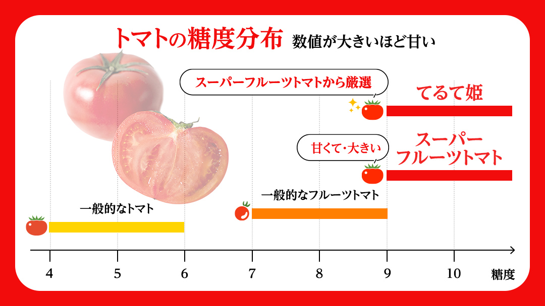 糖度9度以上 スーパーフルーツトマト 中箱 約1.2kg × 1箱 フルーツトマト トマト 2025年2月上旬発送開始 とまと 野菜 [BC002sa]