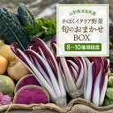 【ふるさと納税】かほくイタリア野菜 旬のおまかせBOX 選べる（約5～8種類 / 約8～10種類 ） 野菜の説明&おしゃれな料理が簡単に作れちゃうレシピ付き♪ 山形県 河北町 野菜 イタリア野菜 イタリアン ベジタブル 詰め合わせ レシピ付き サラダ 健康 送料無料