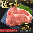 【ふるさと納税】【不揃い訳あり】佐賀牛 サーロインステーキ　5kg （ 250g 2枚入り×10パック） 吉野ヶ里町 [FDB012]