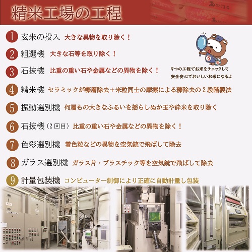 お米　【無洗米】岡山県産こしひかり100%（令和5年産）10kg