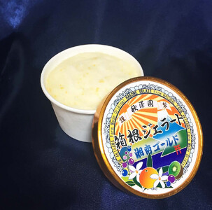 秋澤園謹製☆ジェラート☆箱根の冷涼な風と湘南の風が創り出した、果実６０％以上の贅沢なオトナのデザート。【ジェラート 秋澤園 オトナのデザート 清見オレンジ 湘南ゴールド キウイフルーツ ブルーベリー 
