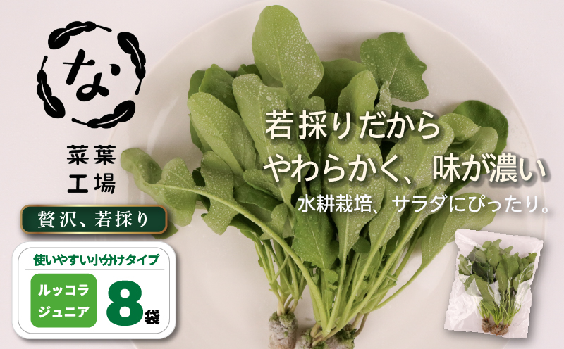 葉野菜 若採り サラダ ルッコラ ジュニア | ベビー ほうれんそう ホウレンソウ 水菜 ミズナ 生食 野菜 セット 新鮮 健康 人気 おすすめ 高知県 南国市