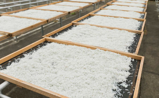 特上茹でたて釜揚げしらす　木箱入り1kg【冷凍】無添加・無着色 しらす シラス 釜揚げ 冷凍【mar108】_イメージ3