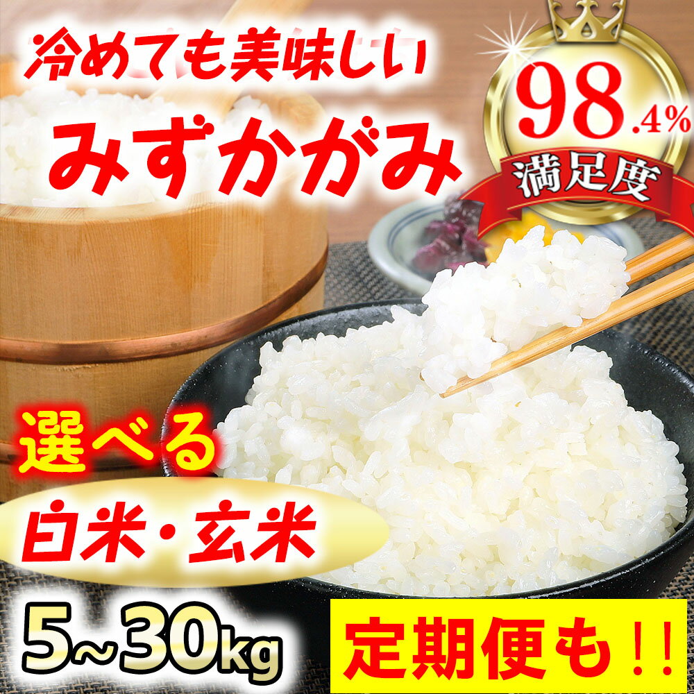 【ふるさと納税】【新米】【7年産】 冷めても美味しいあっさりとした味わい「みずかがみ」 近江米 滋賀県産 国産 5kg / 10kg / 30kg 定期便 選べる 白米 玄米