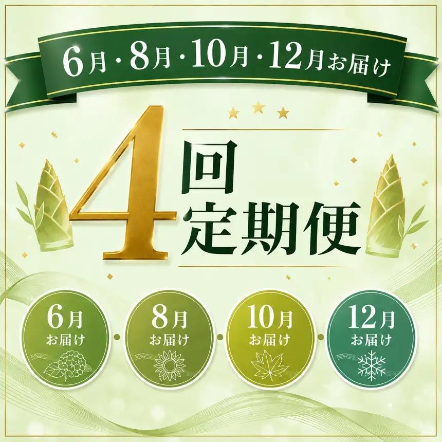 【4回定期便】 美祢っ子 無添加 たけのこの水煮 訳あり 中ぐり・根本 食べ比べセット
