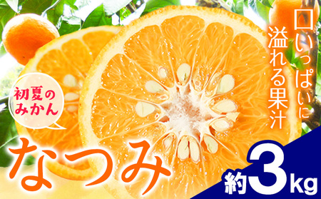 ＜先行予約＞初夏のみかん なつみ 約 3kg 株式会社 魚鶴商店 みかん 蜜柑