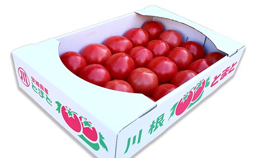 030厳選！茨城町産トマト4kg（15～24玉）