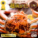 【ふるさと納税】≪浜茹で≫越前がに 大サイズ（生で約0.9〜1kg） × 1杯 約2人前 食べ応え十分 食べ方しおり付き【雄 ズワイガニ 越前ガニ 姿 ボイル 冷蔵 かに カニ 蟹 福井県】【12月発送分】希望日指定可 備考欄に希望日をご記入ください [e57-x001_12]