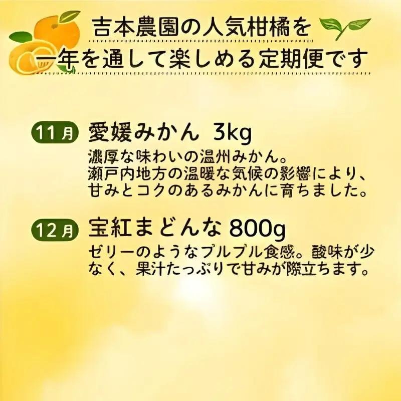 旬の柑橘定期便 年5回 柑橘 吉本農園 甘平 文旦 河内晩柑 愛媛みかん 宝紅まどんな