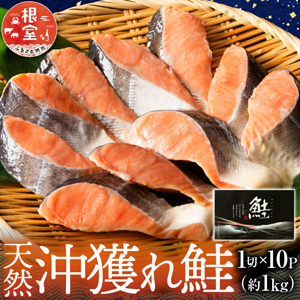 【ふるさと納税】 根室海鮮市場 ＜直送＞ 天然沖獲れ鮭 1 切 × 10P ( 約 1kg ) 鮭 さけ サケ しゃけ シャケ 魚 さかな サカナ 沖どれザケ 沖どれざけ 春ザケ 春ざけ 春鮭 時不知 時鮭 トキシラズ ときしらず 切り身 切身 北海道 B-28060
