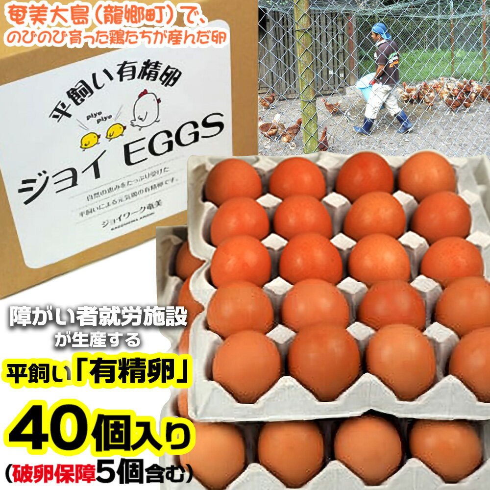 【ふるさと納税】奄美大島の平飼い有精卵　40個入り 鹿児島県 奄美群島 奄美大島 龍郷町 国産 奄美産 たまご 卵 エッグ 有精卵 平飼い お取り寄せ