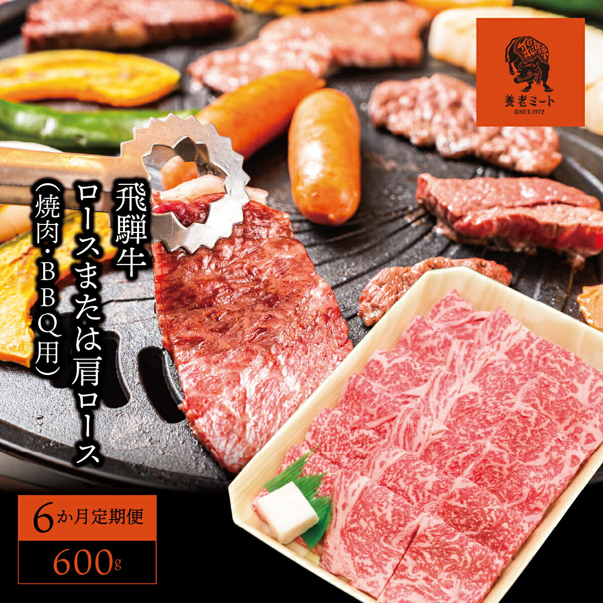 【ふるさと納税】AJ-17 【6か月定期便】【飛騨牛】ロースまたは肩ロース600g (焼肉・BBQ用)