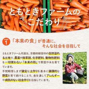 無農薬 季節の野菜セットM（約4kg） / 野菜 詰め合わせ 産地直送 綾部市 / ともときファーム丹波［BSBG007］