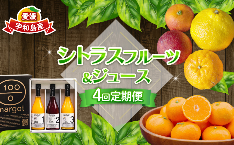 シトラス フルーツ ジュース 4回 定期便 コルレオファーム 南柑20号 ブラッドオレンジ モロ 甘平 はるか ポンカン タロッコ せとか 清見 不知火 ( デコポン と同品種) 詰め合わせ 愛媛ミカ