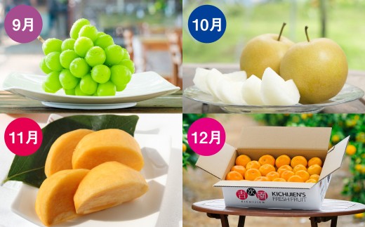 【12ヶ月定期便】熊本フルーツ定期便12カ月 フルーツ 果物 くだもの いちご 金柑 不知火 メロン すいか スイカ 桃 もも キウイ キウイフルーツ ブルーベリー ジャム ぶどう ブドウ 梨 マスカット シャインマスカット 柿 みかん