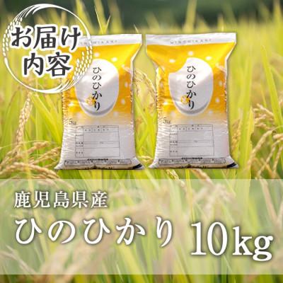 ふるさと納税 伊佐市 鹿児島県産ひのひかり(10kg)  伊佐米 isa808 |  | 03
