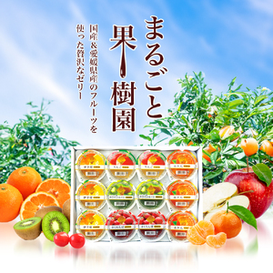 カップゼリーまるごと果樹園詰め合わせ5種12個セット（伊予柑、みかん、りんご、キウイフルーツ、さくらんぼ）No.12【柑橘 ゼリー 果肉 果実 果汁 果物 フルーツ 国産 愛媛県産 スイーツ おやつ 