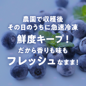 ブルーベリー カヌレ 10個