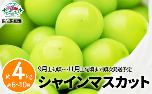 [No.5657-3473]シャインマスカット 約4kg (約6～10房) 《黒岩果樹園》■2025年発送■※9月上旬頃～11月上旬頃まで順次発送予定