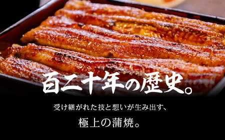 【3回 定期便】国産若うなぎ 2尾 老舗 うなぎ