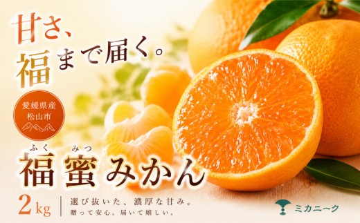 【いま注目されています】 濃密な甘さ 【 福蜜 みかん 】 2kg 愛媛県産 【2026年11月上旬頃から順次発送】 | 温州みかん ミカン mikan みかん 蜜柑 訳ありフルーツ 柑橘 果物 おすすめ お勧め お取り寄せ ギフト 愛媛県 松山市