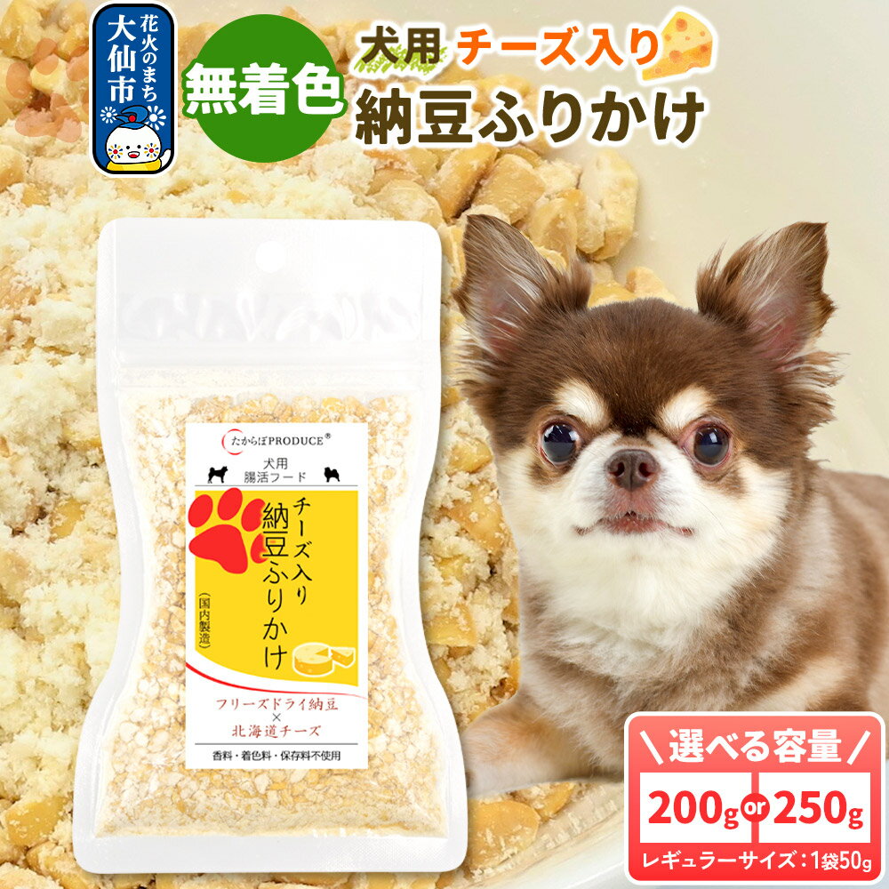 【ふるさと納税】犬用 チーズ入り納豆ふりかけ（レギュラーサイズ）【個数選べる】ペット