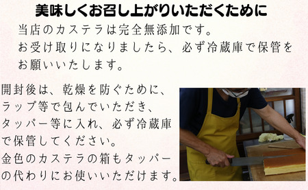 カステラ 2斤 (1斤×2本入り) 長崎カステラ 長崎 かすていら おやつ スイーツ デザート 無添加 添加物不要 小分け 焼き菓子 菓子 お菓子 和菓子 蜂蜜 卵 ざらめ 人気 グルメ お取り寄せ 