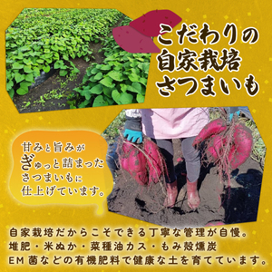 【先行受付】 焼き芋 3種 食べ比べ セット 紅はるか シルクスイート 紅あずま さつまいも 芋 おやつ お菓子 菓子 スイーツ 密たっぷり カーボン釜 特産品 野菜 つぐちゃん畑 新潟 新潟県 新発