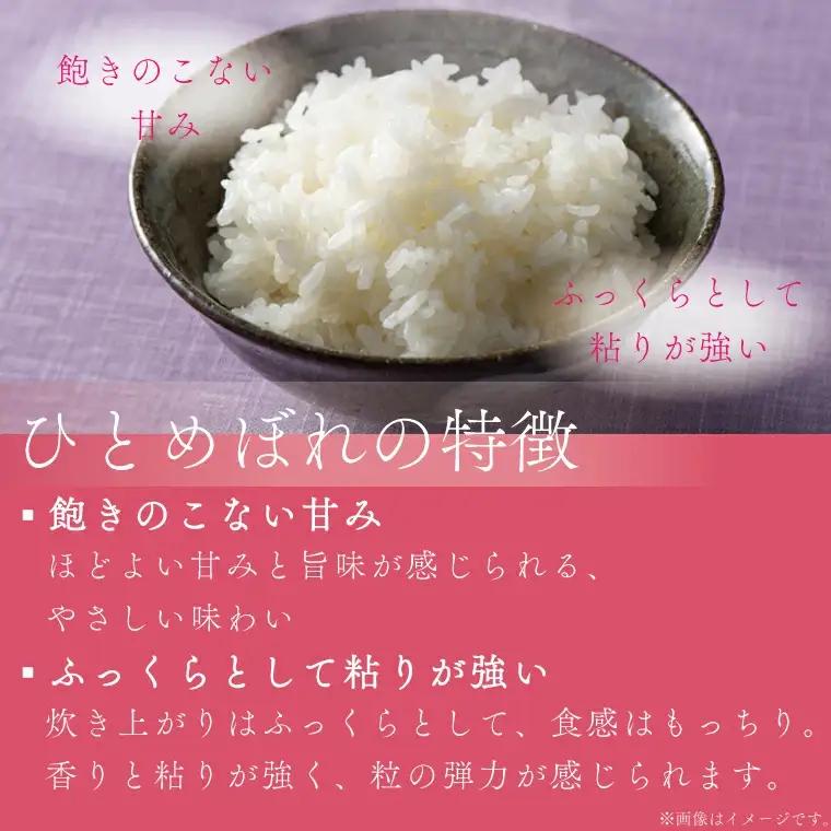 【定期便 2ヵ月】令和7年産 特別栽培米 ひとめぼれ 10kg 白米 (AD052)