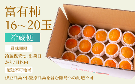 P294-05 【先行予約】春光園 冷蔵富有柿 15～20玉 2024年12月中旬〜2025年1月下旬お届け