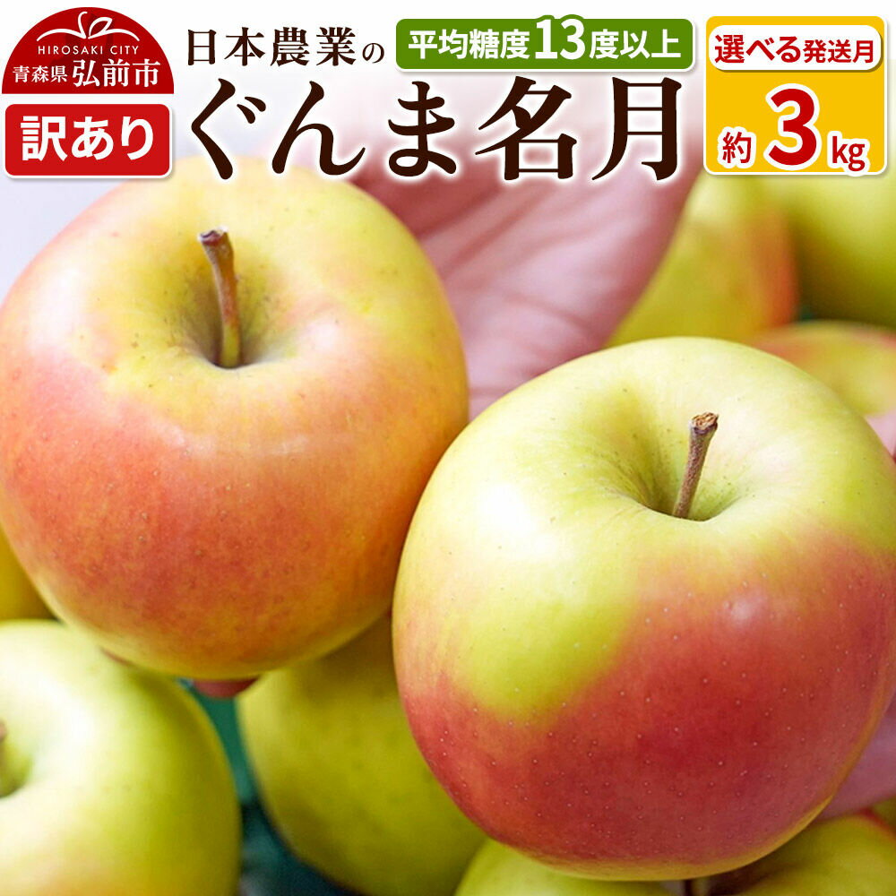 【ふるさと納税】りんご 平均糖度13度以上！ ぐんま名月 約3kg 訳あり【選べる発送月】青森 果物 フルーツ 林檎 リンゴ くだもの 不揃い 規格外 [ぐんま名月 りんご 訳あり 選べる 果物 フルーツ 林檎 リンゴ くだもの 不揃い 規格外 青森県]