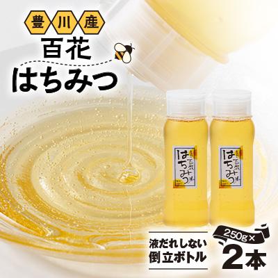 ふるさと納税 豊川市 豊川産純粋はちみつ　液だれしない倒立ボトル250g×2本