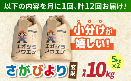 【全12回定期便】がばいうまか エガシライス（さがびより）玄米 10kg（5kg×2袋）【江頭農園】特A 特A評価[HAU008]
