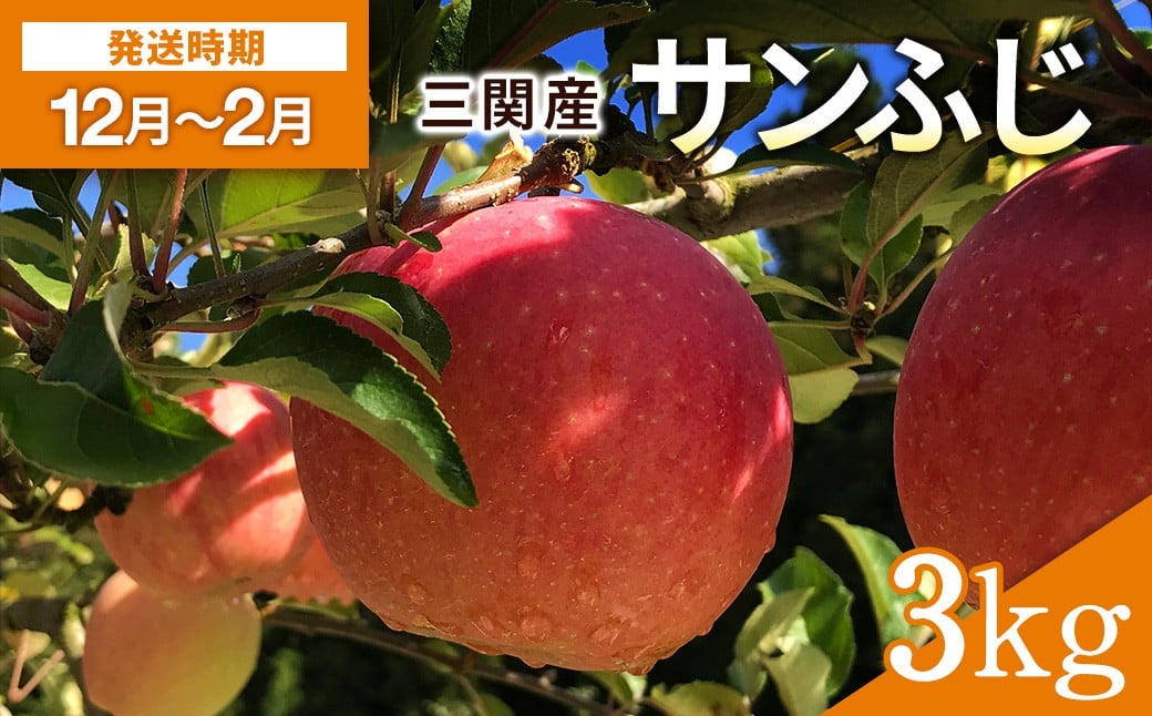 
            三関産りんご（サンふじ）3kg りんご ふじ 秋田県 ふるさと 人気 ランキング【奥山果樹園】[L7801]
          