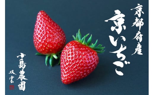【70th記念】年末感謝！ 高級いちご 完熟 朝採れ 約2,000g（250g 8パック）小島農園 紅ほっぺ おいCベリー スターナイトから厳選≪期間限定 数量限定 苺 イチゴ 京いちご 旬 フルーツ 果物 くだもの 春 ichigo strawberry itigo ≫離島への配送不可 ※2026年1月中旬～5月下旬頃に順次発送予定