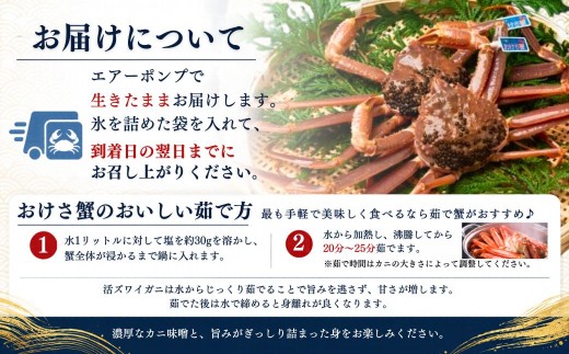 活本ズワイガニ「おけさ蟹」特大サイズ 2尾（1尾あたり約800g） 約1700g | 新潟県 佐渡産 本ズワイガニ おけさ蟹 活蟹 活き蟹 ズワイガニ カニ 蟹 かに 海鮮 魚介 魚介類 佐渡市 新潟