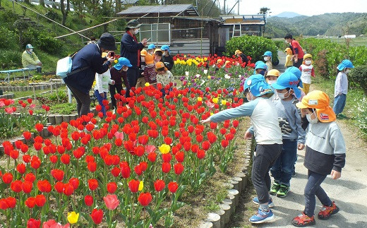 き24-054 【美萩野あじさい公園愛護会】美萩野あじさい公園お花畑が新しく生まれ変わります！（思いやり型返礼品）