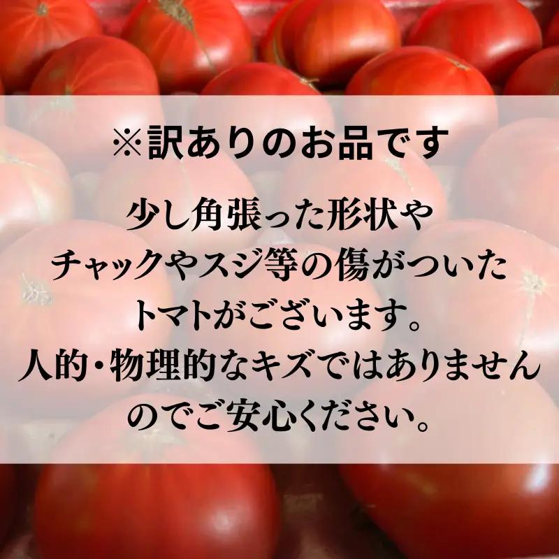 【 訳あり 】 スーパーフルーツトマト 大箱 約2.6kg × 1箱