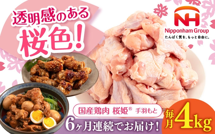 
            【全6回定期便】桜姫 手羽もと 計4kg（2kg×2パック）《厚真町》【東日本フード株式会社】 桜姫 国産鶏肉 鶏肉 鶏 とり肉 手羽元  冷凍 北海道 [AXBM116]
          