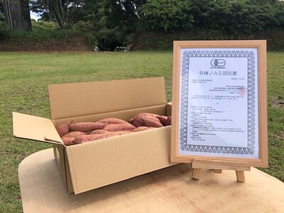 種子島 産 オーガニック (有機) 種子島安納いも (誠農園) 5kg　NFN537 【425pt】 // オーガニック 有機 安納いも 安納芋 有機栽培 さつまいも オーガニック 有機 安納いも 安