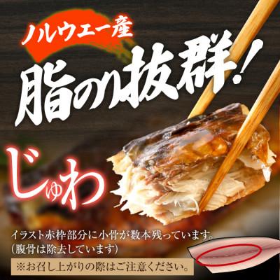 ふるさと納税 田川市 さば 照焼鯖 2枚×4P(約1kg)(田川市) |  | 02