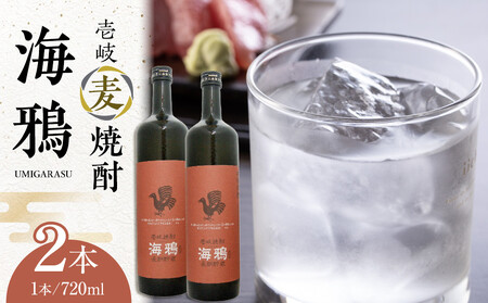 壱岐麦焼酎　海鴉720ml箱入　2本セット