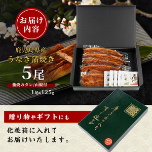 うなぎ 鹿児島県産 うなぎ 蒲焼 5尾 約625g IB021-009