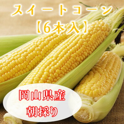 【ふるさと納税】岡山県美作市産　スイートコーン6本【配送不可地域：離島・北海道・沖縄県】【1625095】